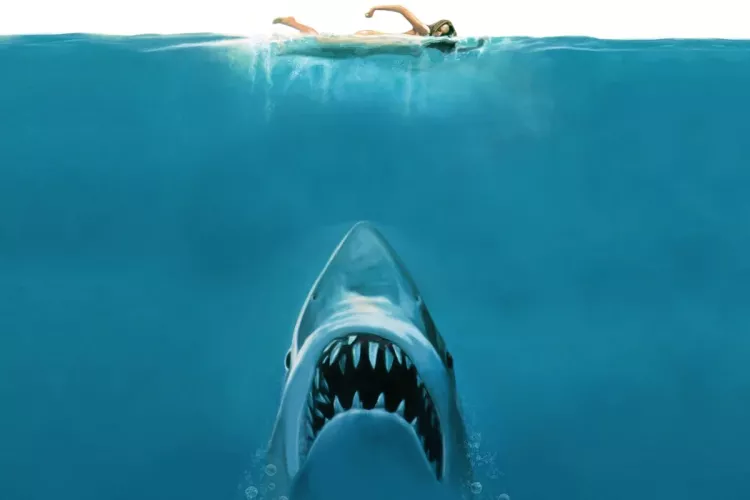 Jaws filmi konusu