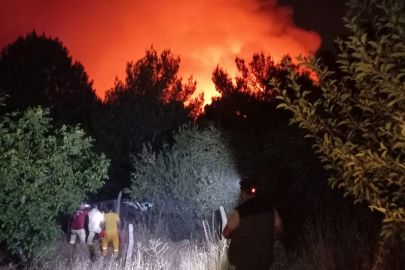 İzmir haber: Yamanlar Dağı’nda orman yangını