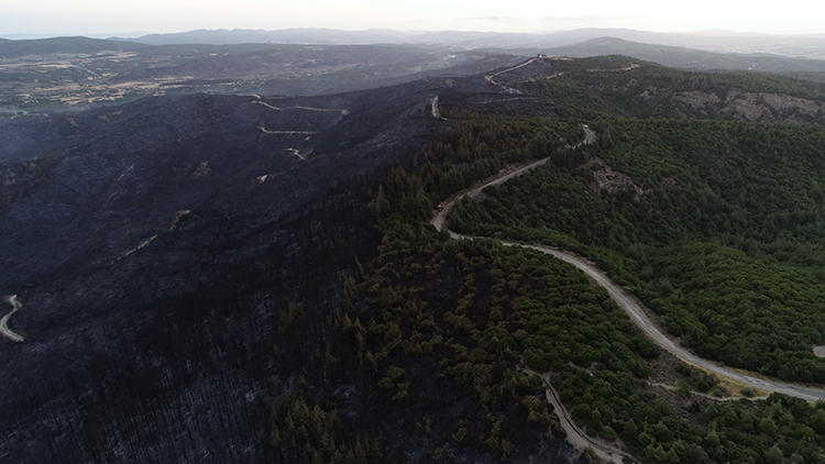 çanakkale yangın