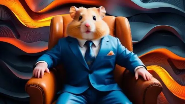 Hamster Kombat Günlük Kombo Kartları