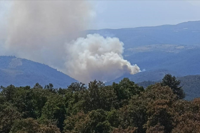 Bursa'da ormanlık alanda yangın