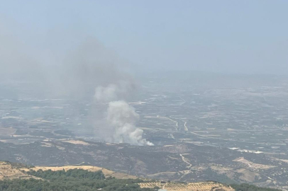 İzmir Menemen’de orman yangını: Müdahale sürüyor