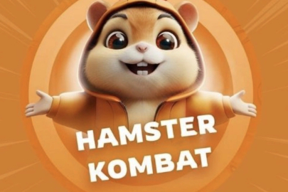 Hamster Kombat Günlük Kombo Kartları 11 Eylül 2024! Hamster Kombat günlük kombo kart