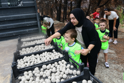 Bornova’da tohumlar doğayla buluşuyor