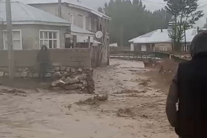 Sağanak yağış tarım arazilerini zarara uğrattı