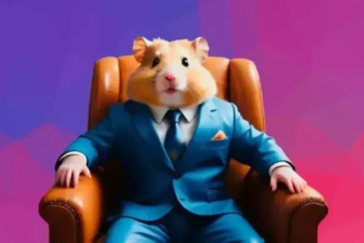 Hamster Kombat Günlük Kombo Kartları 22 Eylül 2024! Hamster Kombat günlük kombo kart