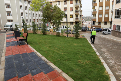 Sosyal medyadan gelen talepler Buca Belediyesi'ni harekete geçirdi