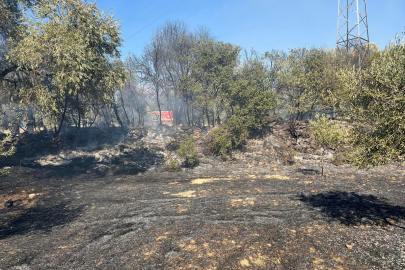 İzmir haber: Ödemiş'te yangın