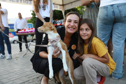 Efes Selçuk'ta “Yuvam Olur Musun?” şenliği