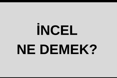 İncel ne demek? İncel kime denir? İncel kelimesinin anlamı