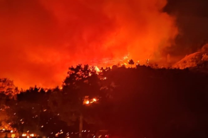 Muğla'da yangın: Evler alevlere teslim oldu!