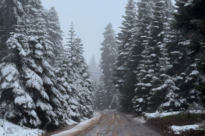 Bolu'da kar kalınlığı 5 santimetreye ulaştı