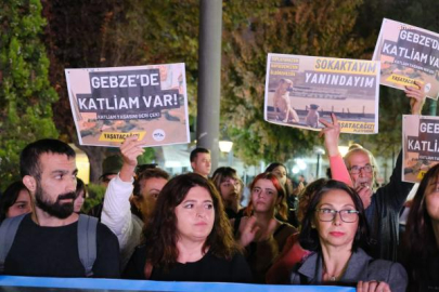 Hayvanseverlerden kampanya: Gebze Belediyesi kedi ve köpekleri zehirleyip çöpe atmanın hesabını vermeli!