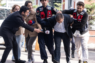 Yenidoğan çetesi hakkındaki fezlekede, suç örgütünün şeması ortaya çıkarıldı