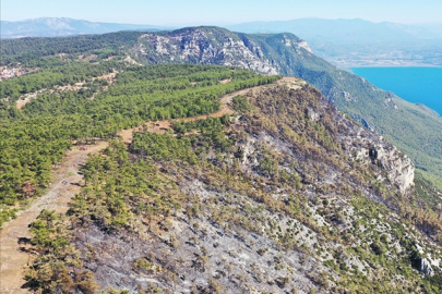 6 kilometrelik "yangın şeridi" alevlerin önünü kesti!