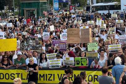 Yaşam İçin Yasa İnisiyatifi: Her gün binlerce çocuk istismara, tacize ve şiddete uğruyor!