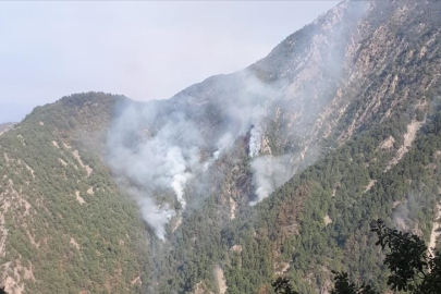 Kahramanmaraş'ta orman yangını günlerdir sürüyor