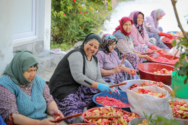 nar ekşisi