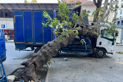 İzmir haber: Ağaca çarpan kamyonet zarar gördü