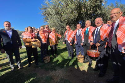 Zeytin ve zeytinyağında yeni sezon Bergama'da başladı