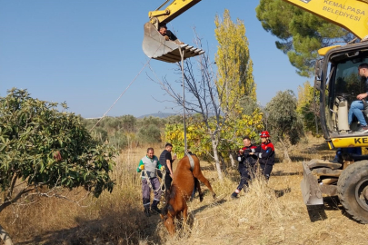 Su kuyusuna düşen yılkı atını Kemalpaşa Belediyesi ekipleri kurtardı