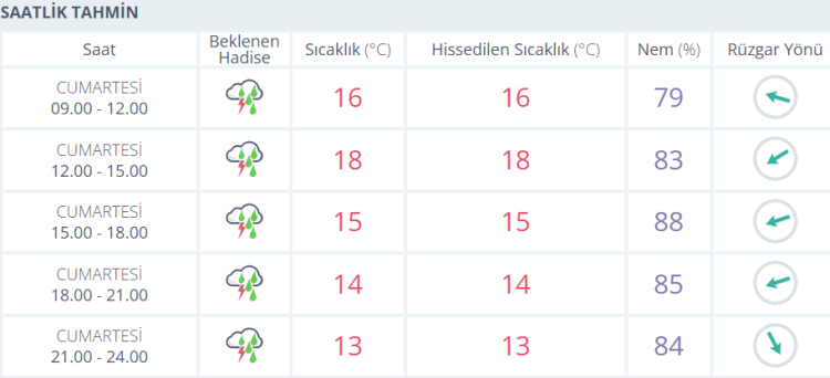 izmir hava duruu 