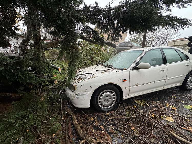 İstanbul’da kuvvetli rüzgar ve yağış zorlu anlar yaşattı