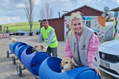 Hayvanseverlik adı altında dolandırıcılık yapan 'köpek velisi' tutuklandı!