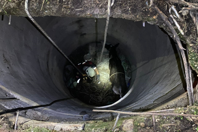 İzmir haber: 15 metre derinlikteki su kuyusuna düşen buzağı, itfaiye ekiplerince kurtarıldı