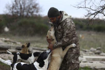 Dağdaki yüzlerce köpek her gün onun gelmesini sabırsızlıkla bekliyor