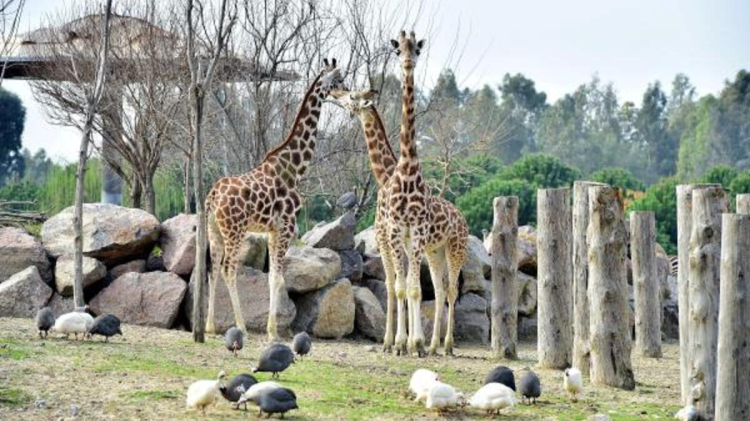 İzmir Sasalı Doğal Yaşam Parkı giriş ücretine zam