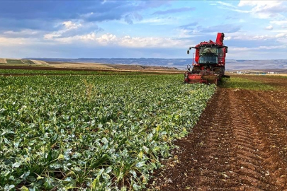 2025 Tarımsal destek başvuruları için son gün 31 Aralık