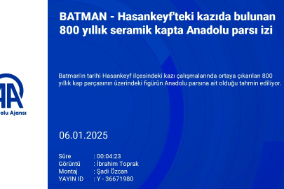 Hasankeyf'te bulunan 800 yıllık kapta anadolu parsı figürü tespit edildi