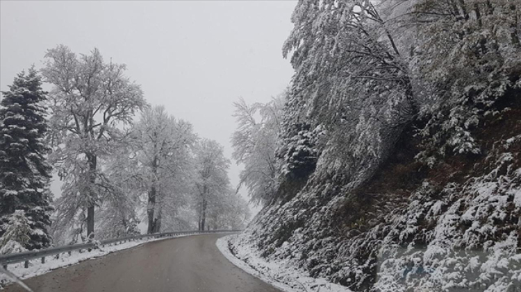 Yedigöller Milli Parkı - Bolu